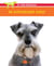 Le schnauzer nain