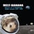 Return of 13 hedgehogs (MxBx singles 2000-2009)