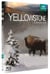 Yellowstone, la lutte pour la vie