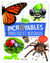 Incroyable insectes et bestioles - une foule de faits et de détails intéressants !