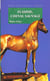 Flamme cheval sauvage