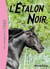 L'etalon noir t.1