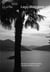 Revue Quarto n.45 : Lago Maggiore