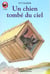 Chien tombe du ciel (un) - - histoires d'animaux, junior des 9/10 ans