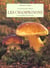 Les champignons et termes de mycologie