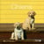 Chiens - la collection