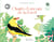 Chants d'oiseaux de la forêt