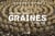 Graines : inspiration land art
