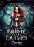 La brume et les larmes Tome 1
