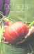 Potager pas sorcier