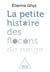 La petite histoire des flocons de neige