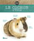 Le cochon d'Inde