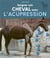 Soigner son cheval avec l'acupression