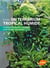 Terrarium Tropical Humide