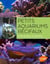 Petits aquariums récifaux - guide pratique du débutant