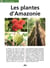 Les plantes d'Amazonie