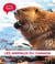 Les animaux du Canada