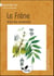 Le frêne, arbre des centenaires
