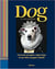 Portraits of eigthy-eight dogs & one little naughty rabbit