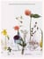 Package design in Japan biennial t.16