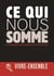 Ce qui nous somme - réflexions marocaines après les événements des 7 et 11 janvier 2015 à Paris