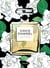 Coco chanel : 55 lieux, personnalités et objets iconiques