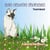 Les chats fleuris : tournesol
