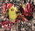 Warble womb