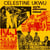 Celestine Ukwu