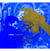 Paon d'or