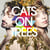 Cats on trees