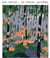 The Changing Wilderness