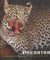 Predator - Life and Death in the African Bush