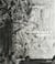 Jasper johns regrets