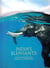 India's elephants