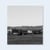 John Divola : Dogs chasing my car in the desert