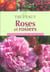 Le truffaut - roses et rosiers