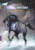 Cheval Fantôme Tome 7 - La Jument Disparue