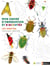 Mon cahier d'observation et d'activités : les insectes