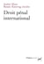 Droit pénal international (3e édition)