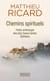 Chemins spirituels - petite anthologie des plus beaux textes tibétains