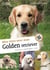 Bien vivre avec mon golden retriever