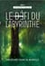 La caverne cristalline t.2 : le défi du labyrinthe