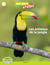 Les animaux de la jungle