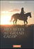 Mes rêves au grand galop