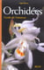 Orchidées