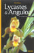 Lycastes & Anguloa
