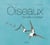 Oiseaux : des alliés à protéger