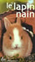 Le lapin nain