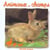 Animaux des champs